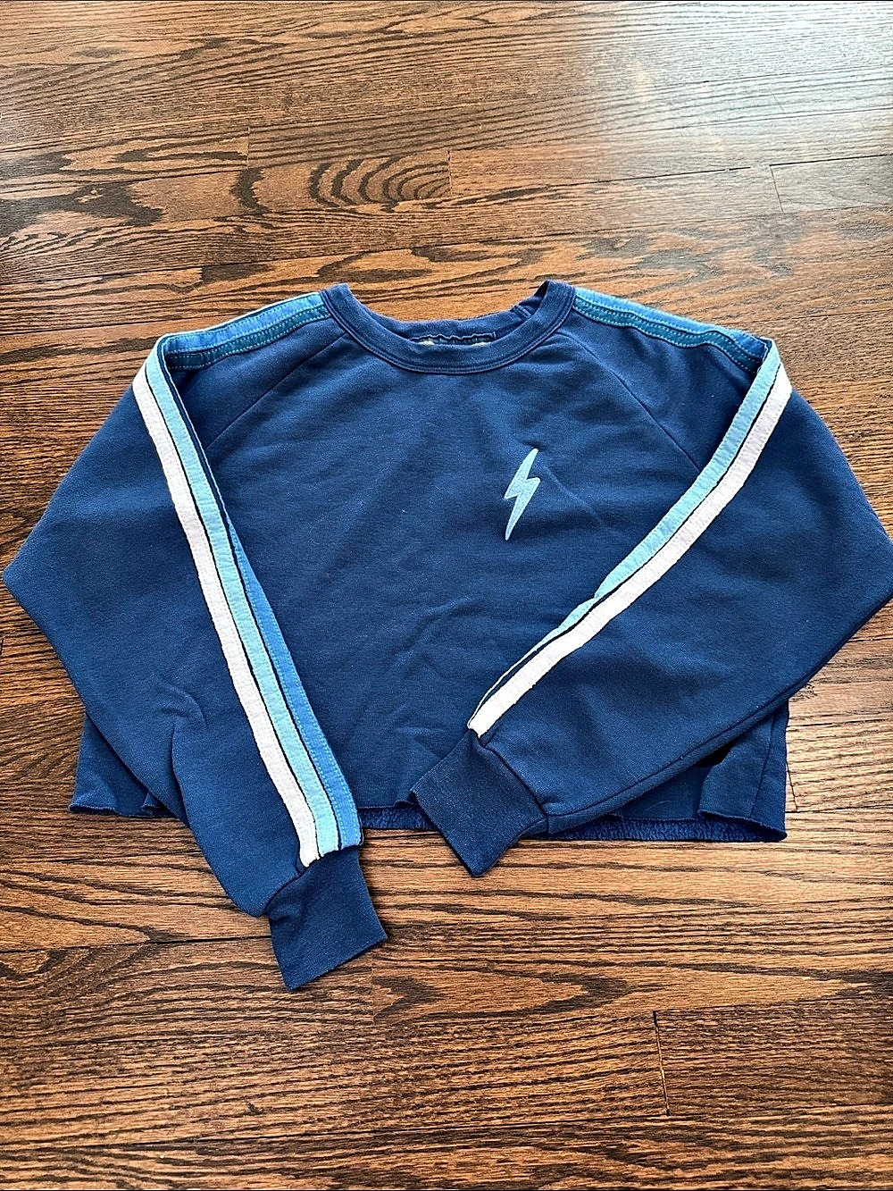 Aviator Nation Bolt Stitch Classic Cropped Crew Sweatshirt Blue